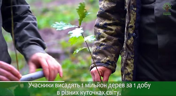 долучились до встановлення Рекорду України «Мільйон дерев за 1 день»